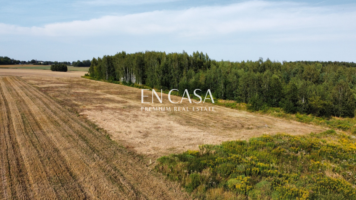 Plot Sale Wola Krakowiańska 12